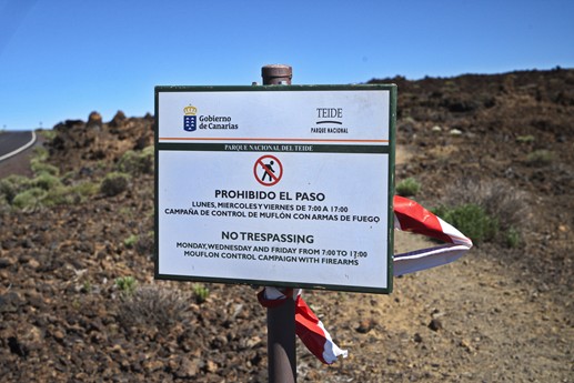 14 maggio Teide